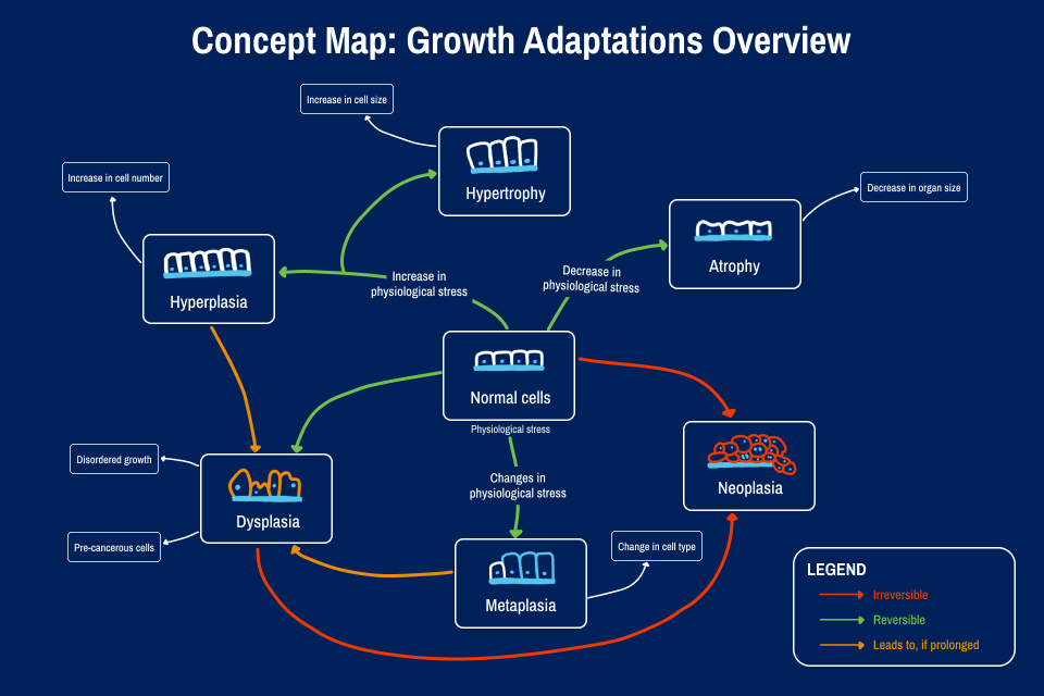 mind mapping