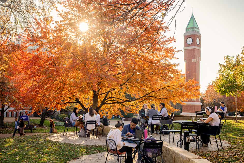 Students study outside near the clock tower. The sun shines through the red leaves of a nearby tree.