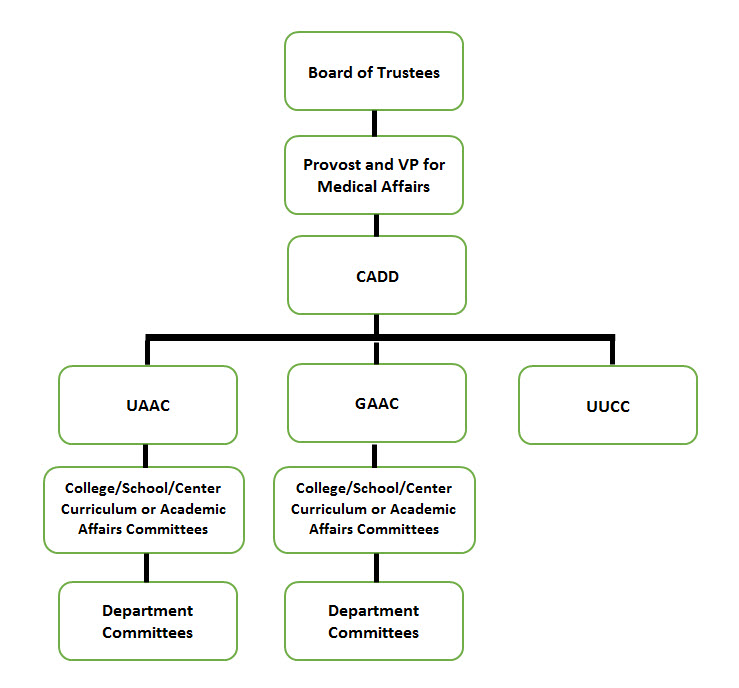 Curriculum approval process flowchart